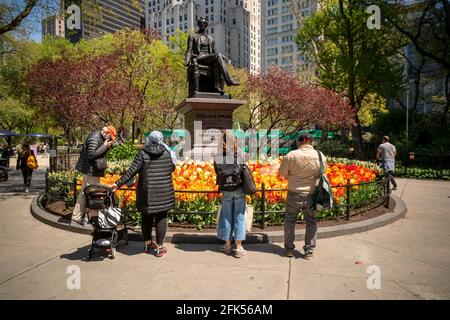 New York, États-Unis. 27 avril 2021. Les visiteurs de Madison Square Park à New York le mardi 27 avril 2021 apprécient quelques-uns des 8000 tulipes plantés dans le parc. (Âphoto de Richard B. Levine) crédit: SIPA USA/Alay Live News Banque D'Images