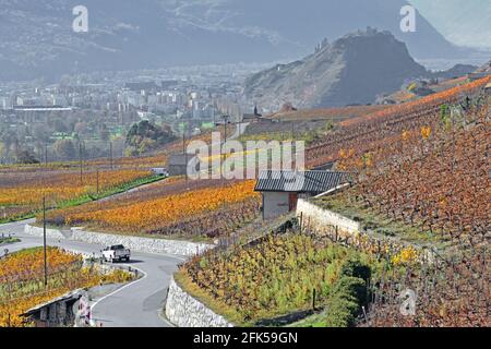 La ville du Sud de la Suisse et capitale du Valais, Sion à l'automne avec des vignobles et des châteaux Banque D'Images