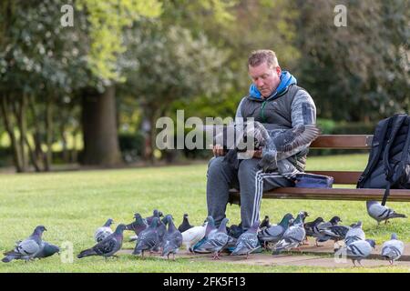 Northampton, Royaume-Uni. 28 avril 2021. Gary Stone un lad local nourrit les pigeons tous les soirs à Abington Park. Crédit : Keith J Smith./Alamy Live News Banque D'Images