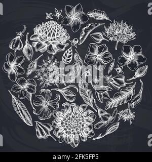 Motif floral rond avec liseria à craie, allamanda, clerodendrum, champak, etlingera, ixora Illustration de Vecteur