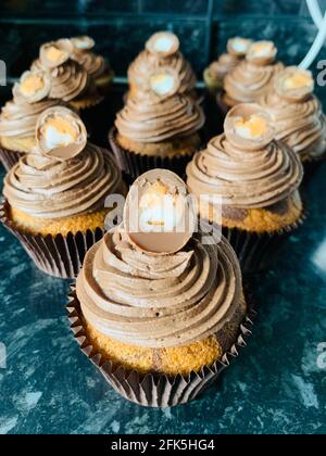 Cupcakes Banque D'Images