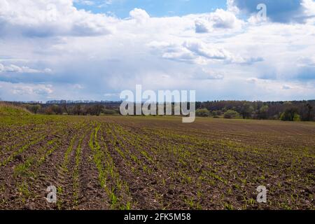 champ labouré et nuages au printemps . Banque D'Images