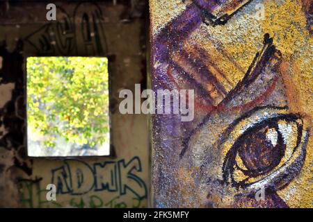 Joli graffiti d'un triste oeil pleurant peint sur le mur d'une maison abandonnée en ruines dans la campagne Banque D'Images