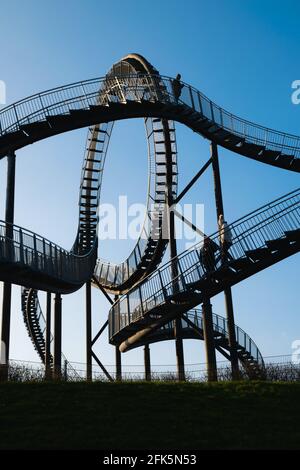 Tigre et tortue – Magic Mountain, Duisburg, Allemagne Banque D'Images