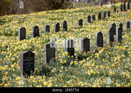 Printemps à l'église paroissiale de Troutbeck Windermere dans le lac Cumbria Parc national du district Banque D'Images