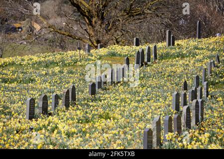 Printemps à l'église paroissiale de Troutbeck Windermere dans le lac Cumbria Parc national du district Banque D'Images