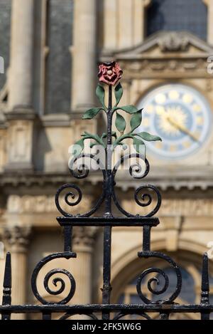 Une rose en fer forgé se trouve sur les portes, devant le bâtiment des écoles d'examen de l'Université d'Oxfords. Oxford, Banque D'Images