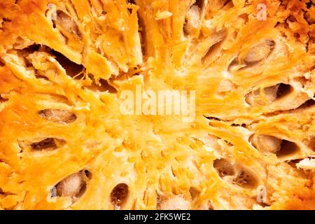 Pomme de bois également connue sous le nom de Bael, Bel, Belgiri, Bili, Bhuel ou Shirphal en Inde. Le fruit médicinal nettoie et renforce le foie, le système digestif, Re Banque D'Images