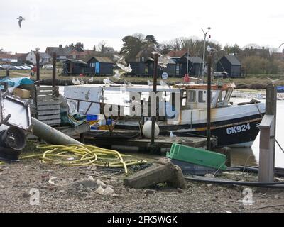 Des mouettes entourent un bateau de pêche à l'étape de l'atterrissage le long du quai du port de Southwold dans le Suffolk. Banque D'Images