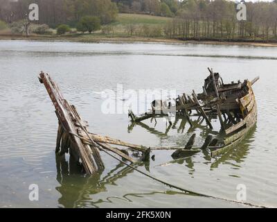 Vestiges d'un vieux bateau en bois naufragé, ses poutres en bois pourries visibles à marée basse depuis le sentier côtier près de l'estuaire de la rivière Deben près de Melton. Banque D'Images