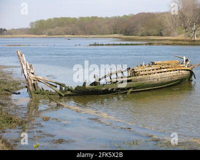 Vestiges d'un vieux bateau en bois naufragé, ses poutres en bois pourries visibles à marée basse depuis le sentier côtier près de l'estuaire de la rivière Deben près de Melton. Banque D'Images