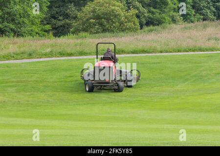 Un green-keeper de terrain de golf sur une tondeuse à gazon. Banque D'Images