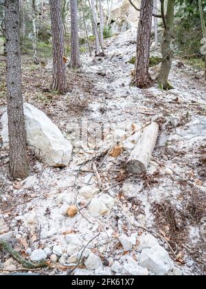 Les rochers rocheux s'effondrent et tombent des rochers de grès et des chemins forestiers bloqués par glissement de terrain. Danger place Cesky raj parc, au nord de la Tchéquie. Banque D'Images