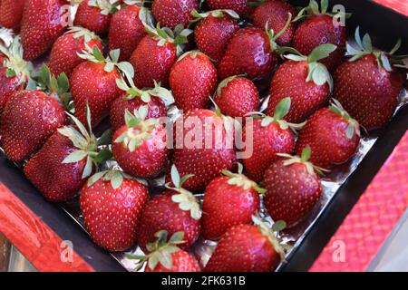 Boîte de fruits frais aux fraises avec vue magnifique. Banque D'Images