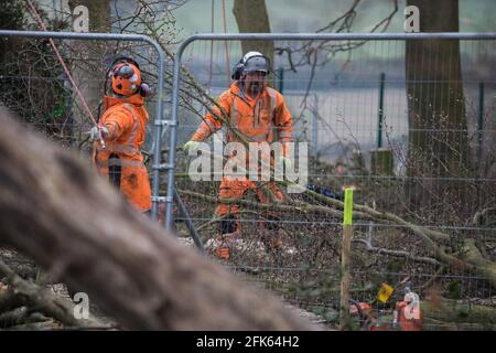 Wendover, Royaume-Uni. 28 avril 2021. Les chirurgiens d'arbres travaillant pour le compte de HS2 Ltd aident à l'abattage d'arbres pour la liaison ferroviaire à grande vitesse HS2 dans les bois anciens de Jones Hill Wood dans l'AONB Chilterns. L'abattage des bois qui contiennent des lieux de repos et/ou des sites de reproduction de la Pipistrelle, de la barbastelle, de la noctule, de la marron à longues oreilles et de la chauve-souris nattererÕs a repris ses fonctions après qu'un juge de la haute Cour ait refusé hier l'autorisation du militant Mark Keir de demander un contrôle judiciaire et a levé une injonction sur les bombardements. Crédit : Mark Kerrison/Alamy Live News Banque D'Images