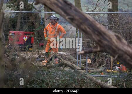 Wendover, Royaume-Uni. 28 avril 2021. Un chirurgien d'arbres travaillant pour le compte de HS2 Ltd aide à l'abattage d'arbres pour la liaison ferroviaire à grande vitesse HS2 dans les bois anciens de Jones Hill Wood dans l'AONB Chilterns. L'abattage des bois qui contiennent des lieux de repos et/ou des sites de reproduction de la Pipistrelle, de la barbastelle, de la noctule, de la marron à longues oreilles et de la chauve-souris nattererÕs a repris ses fonctions après qu'un juge de la haute Cour ait refusé hier l'autorisation du militant Mark Keir de demander un contrôle judiciaire et a levé une injonction sur les bombardements. Crédit : Mark Kerrison/Alamy Live News Banque D'Images