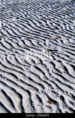 Les ondulations dans le sable de la plage de White Rock à marée basse traversent cette image verticale en diagonale. Banque D'Images