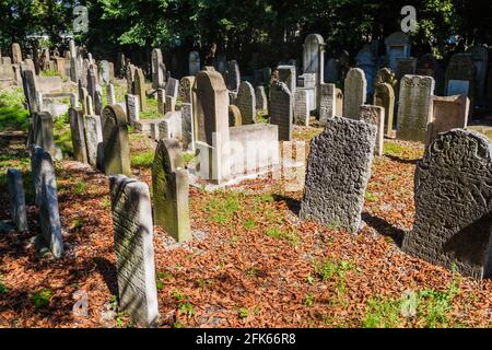 CRACOVIE, POLOGNE - 4 SEPTEMBRE 2016 : pierres tombales sur le nouveau cimetière juif de Cracovie, Pologne Banque D'Images