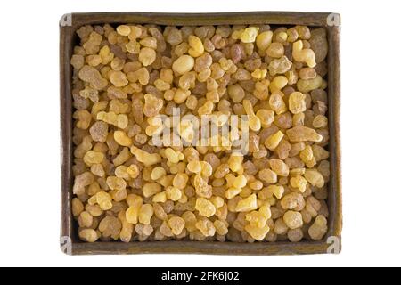 Bol de gomme de résine jaune aromatique de l'encens soudanais isolé sur blanc. Gros plan texture de l'encens en écorce de Boswellia sacra en E Banque D'Images