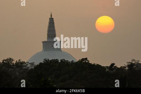 Sri Lanka Beauté Banque D'Images