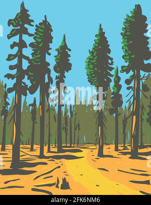 WPA Poster Art de séquoias géants croissant dans le General Grant Trail and Grove, une section du parc national du Grand Kings Canyon situé en Californie Illustration de Vecteur