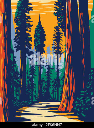 WPA Poster Art of the Simpson-Reed Grove of Coast Redwoods Situé dans le parc national Jedediah Smith, partie de Redwood National Et parcs nationaux en Californie Illustration de Vecteur