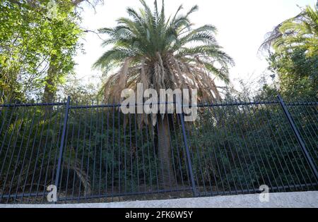 Alhambra, Californie, États-Unis 28 avril 2021 UNE vue générale de l'atmosphère du château des Pyrénées d'origine de Phil Spector où l'actrice Lana Clarkson a été assassinée par lui au 1700 Grand View Drive à Alhambra, Californie, États-Unis. Photo par Barry King/Alay stock photo Banque D'Images