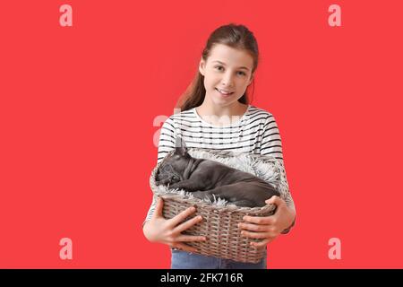 Jolie fille avec un chiot sur fond de couleur Banque D'Images