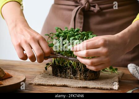 Femme coupant du micro-vert frais sur la table Banque D'Images