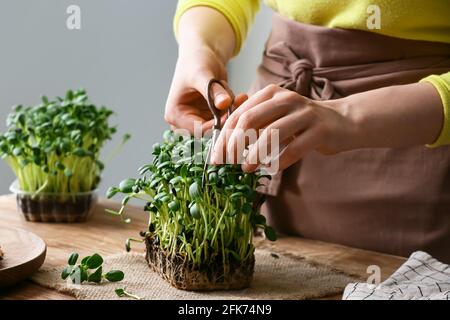 Femme coupant du micro-vert frais sur la table Banque D'Images