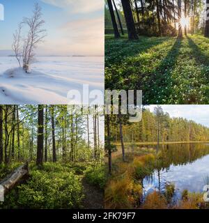 Quatre saisons en Finlande : hiver, printemps, été et automne. De beaux paysages dans la nature. Banque D'Images