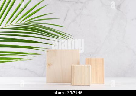 Ensemble de podiums carrés en bois naturel avec feuilles de palmier vertes dans un intérieur en marbre blanc et gris avec lumière du soleil et ombre. Vitrine pour les produits cosmétiques, allez Banque D'Images