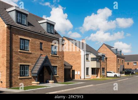 Une rangée de maisons individuelles modernes sur un domaine de logement à Washington, au nord-est de l'Angleterre, au Royaume-Uni Banque D'Images