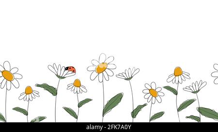 Bordure sans couture de pâquerettes dessinées à la main dans un dessin animé simplifié pour enfants Style naïf sur fond blanc.joli coccinelle assise sur la fleur.pour le design du web Banque D'Images