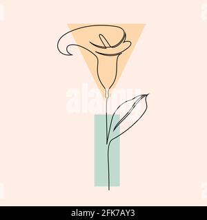 fleurs et formes géométriques. Illustration de Vecteur