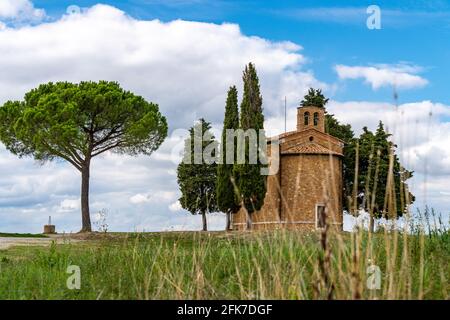 Une chapelle avec des cyprès au centre du champ. Église sur une colline et environnement verdoyant. Chapelle de la Madonna di Vitaleta, Sienne, Toscane, Italie. Banque D'Images