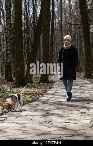 Femme adulte de taille moyenne marchant avec un beagle dans un parl public. Banque D'Images