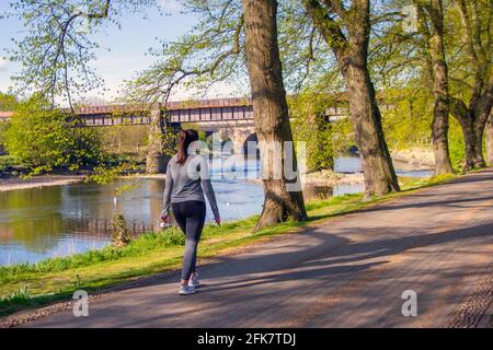 Preston, Lancashire, Royaume-Uni. Météo Royaume-Uni. Un ciel bleu et une matinée ensoleillée au printemps tandis que les habitants de la région font de légers exercices le long des rives du Ribble. Les routes du réseau 6 et 62 avec des avenues bordées d'arbres traversent le parc et il y a des kilomètres de sentiers de jogging bien garnis et des promenades au bord de la rivière. Crédit MediaWorldImages/AlamyLiveNews Banque D'Images