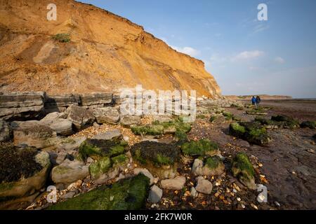 Compton,Bay,Iguanodon,empreinte,moulages,lits Wealden,géologie,paléontologie,sédimentaire,érosion,Ile de Wight,Angleterre,Royaume-Uni, Banque D'Images