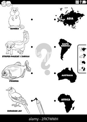 Dessin animé noir et blanc de l'activité éducative correspondante pour enfants avec des personnages d'espèces animales et continents coloriage livre page Illustration de Vecteur