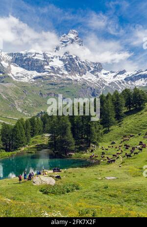 Près de Valtournenche, Province d'Aoste, Aoste, Italie. Le Blue Lake (Lac Bleu) avec le Cervin en arrière-plan. Le Matterhorn chevauche la borde Banque D'Images