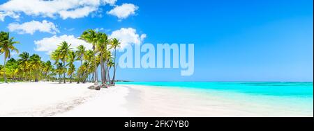 Panorama des palmiers à noix de coco sur une plage de sable blanc à Punta Cana, République dominicaine. Vacances d'été arrière-plan. Vue sur la plage tropicale. Banque D'Images