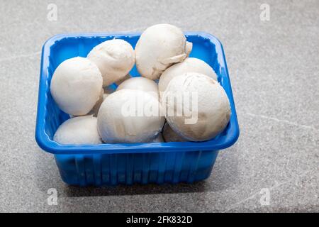 Agaricus bisporus, champignons Champignon dans une boîte bleue isolée sur une table de cuisine grise, gros plan. Champignons blanc entier dans une boîte en plastique. Santé na Banque D'Images