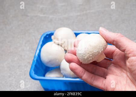 Préparation d'aliments diététiques à partir de champignons. Une main sort un champignon d'une boîte bleue sur une table de cuisine grise, en gros plan. Champignons blanc entier Banque D'Images