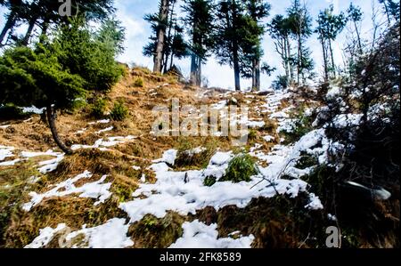 Chaîne de montagnes de l'himalaya couverte de neige à patnitop une ville de Jammu, paysage d'hiver Banque D'Images