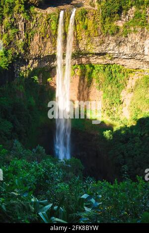 La plus haute cascade de Chamarel dans la jungle tropicale de l'île Maurice Banque D'Images