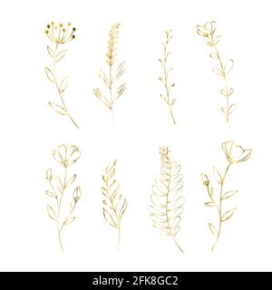 Ensemble de fleurs dorées. Décoration éléments floraux pour mariage. Vecteur doré jaune coquelicot, rose, nénuphars. Illustration de Vecteur