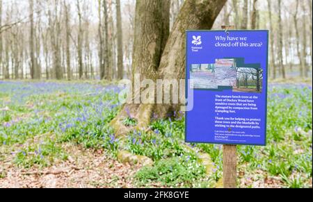 Panneau d'information de Dockey Wood Ashridge National Trust Banque D'Images