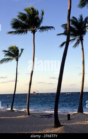 Dominikanische Republik, Strand mit Schiffrack, vor der Küste von Punta Cana Banque D'Images