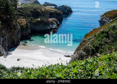 China Beach en Californie avec des phoques sur la plage. Point Lobos State Reserve, Californie Banque D'Images